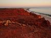 Western Beach Cape Leveque at sunset